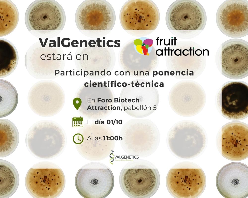 Plataforma Ecoefficacy